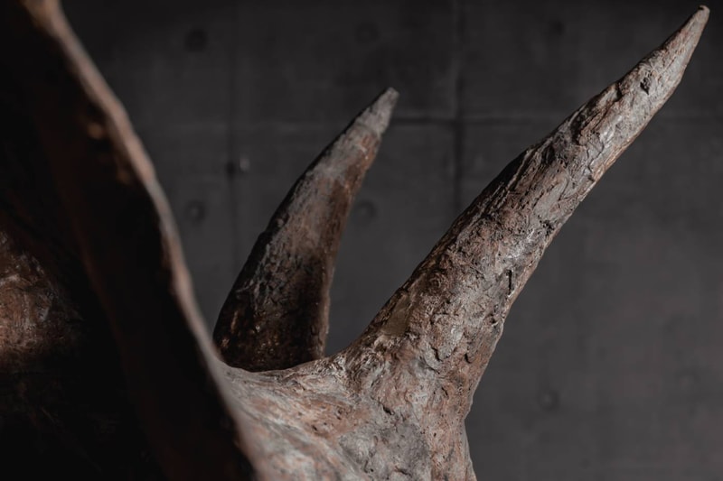  JOOPITER Triceratops Skeleton trey Auction Announcement Info