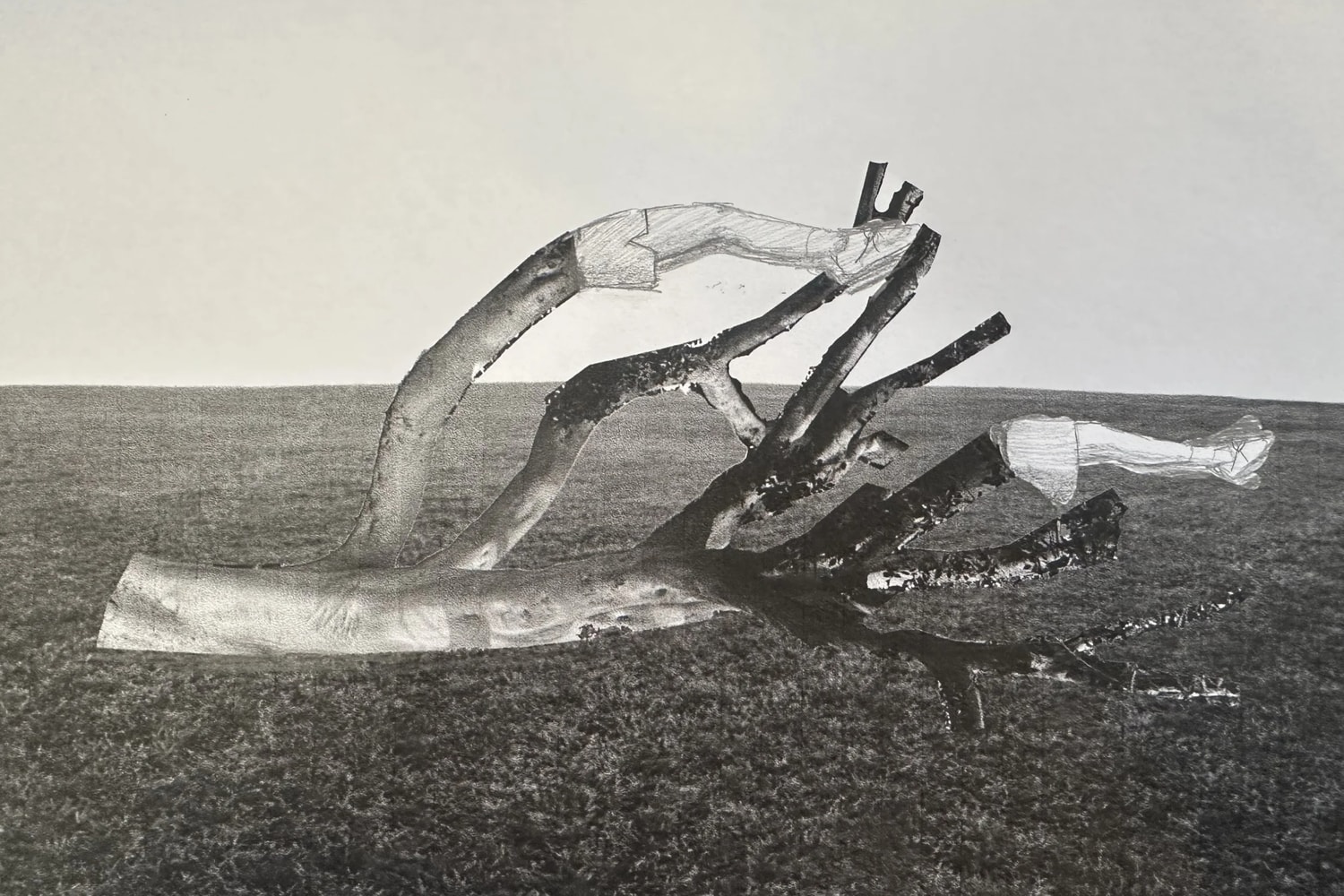 Art Production Fund Frieze Projects 2026 Los Angeles Artworks