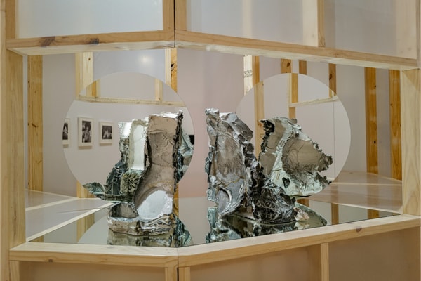 2026 Whitney Biennial Exhibition Opening New York Art Artworks