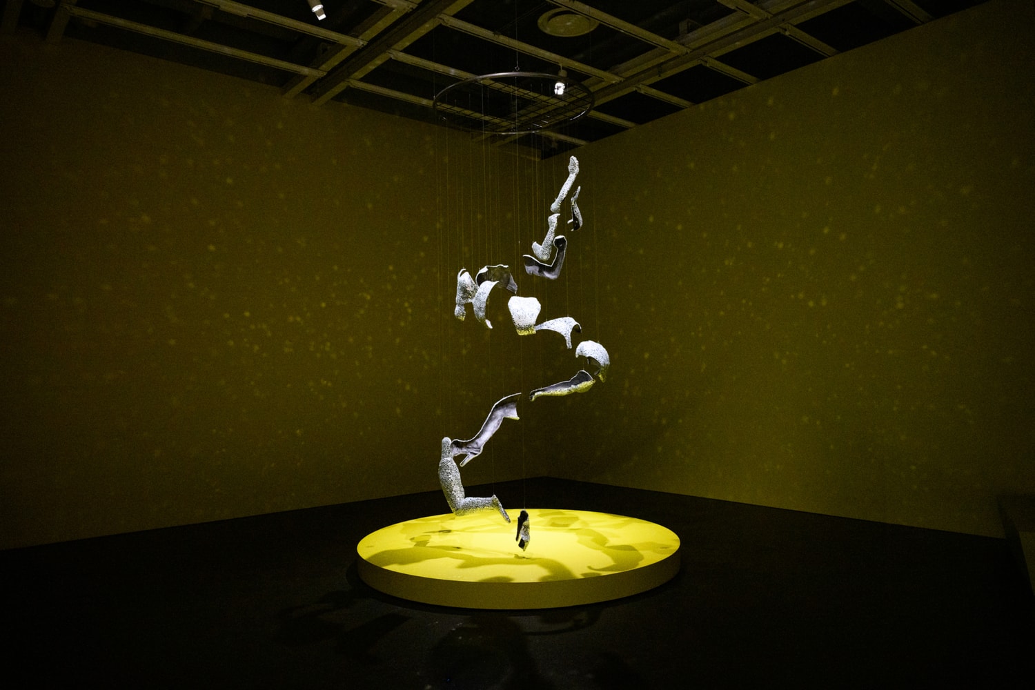 2026 Whitney Biennial Exhibition Opening New York Art Artworks