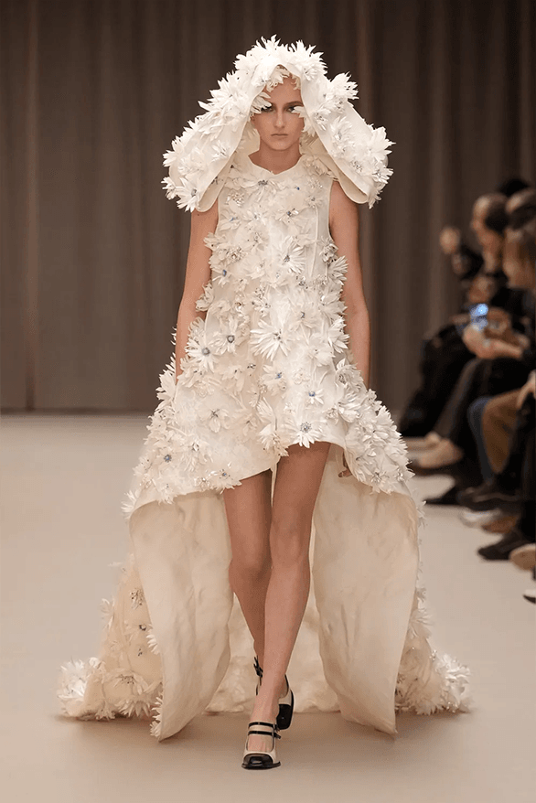 Alexander McQueen Fall Winter 2026 Paris Fashion Week womenswear runway