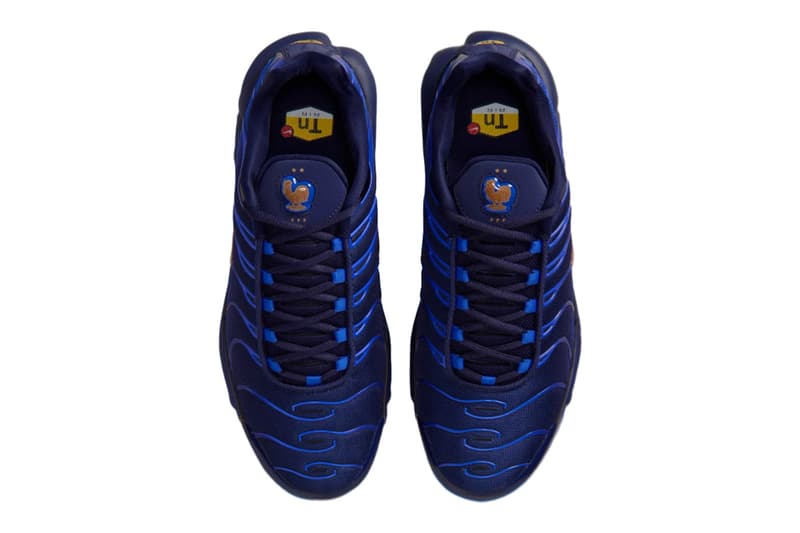 Nike Air Max Plus French Football Federation IQ0170-400 Release Info