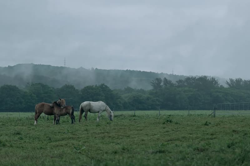 Azumi Japan Announces the Opening of Azuma Farm Koiwai in Iwate Prefecture