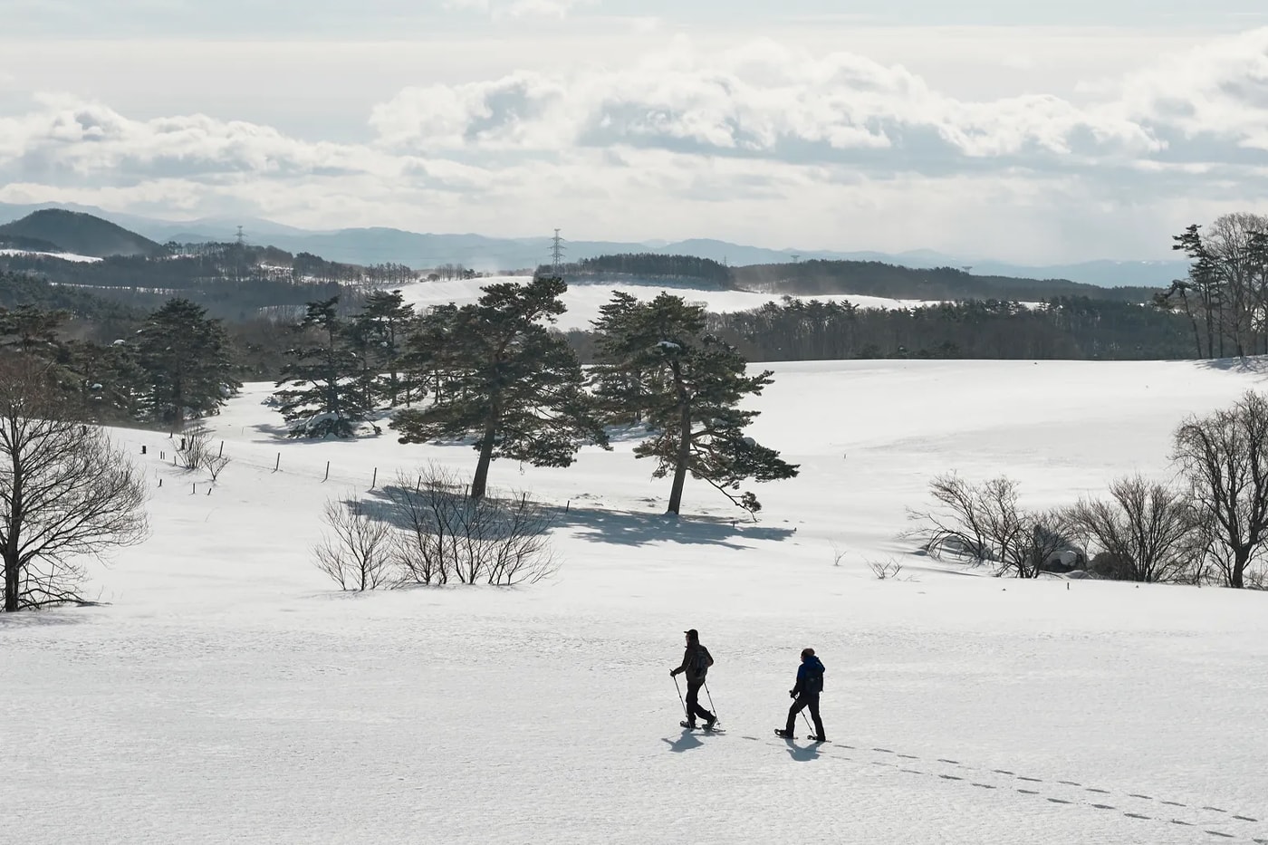 Azumi Japan Announces the Opening of Azuma Farm Koiwai in Iwate Prefecture