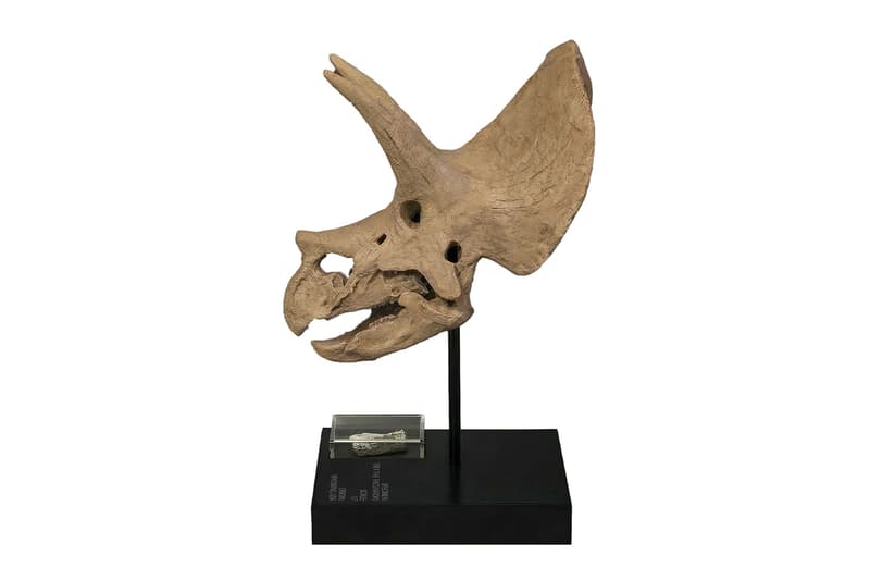 JOOPITER x Co-Museum Limited-Edition "Trey" Capsule 424 hoorsenbuhs