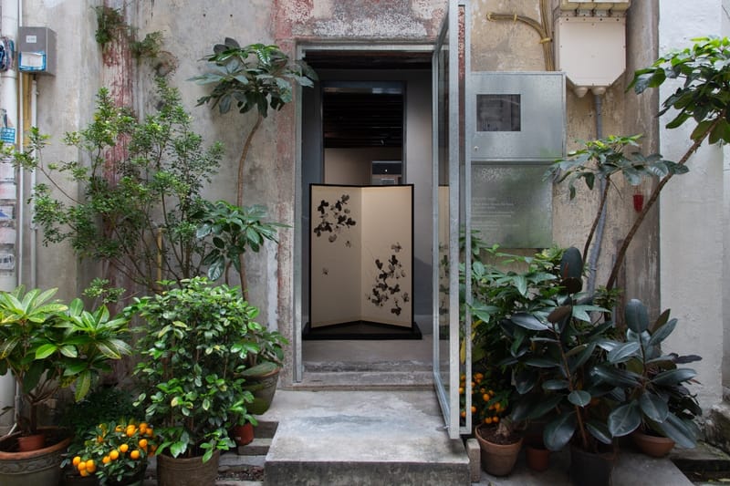 ‘Konketsu’: Alia Sugawara Is a Silent Observer of Her Own Art