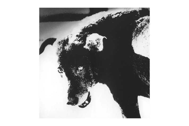 Magnum Photos The Photographers Gallery 2026 Square Print Sale Art Artworks