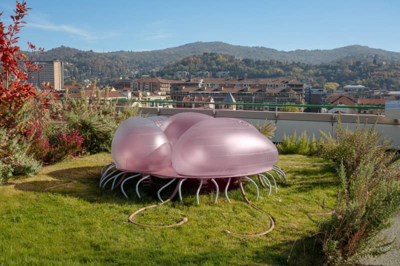 Rong Bao Spotlight Interview Art Artworks