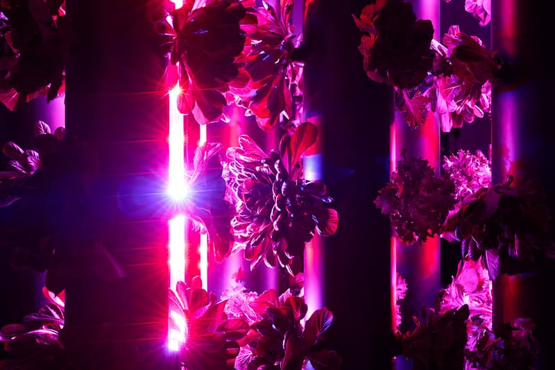 Cao Fei Dash Fondazione Prada Milan Exhibit Announcement