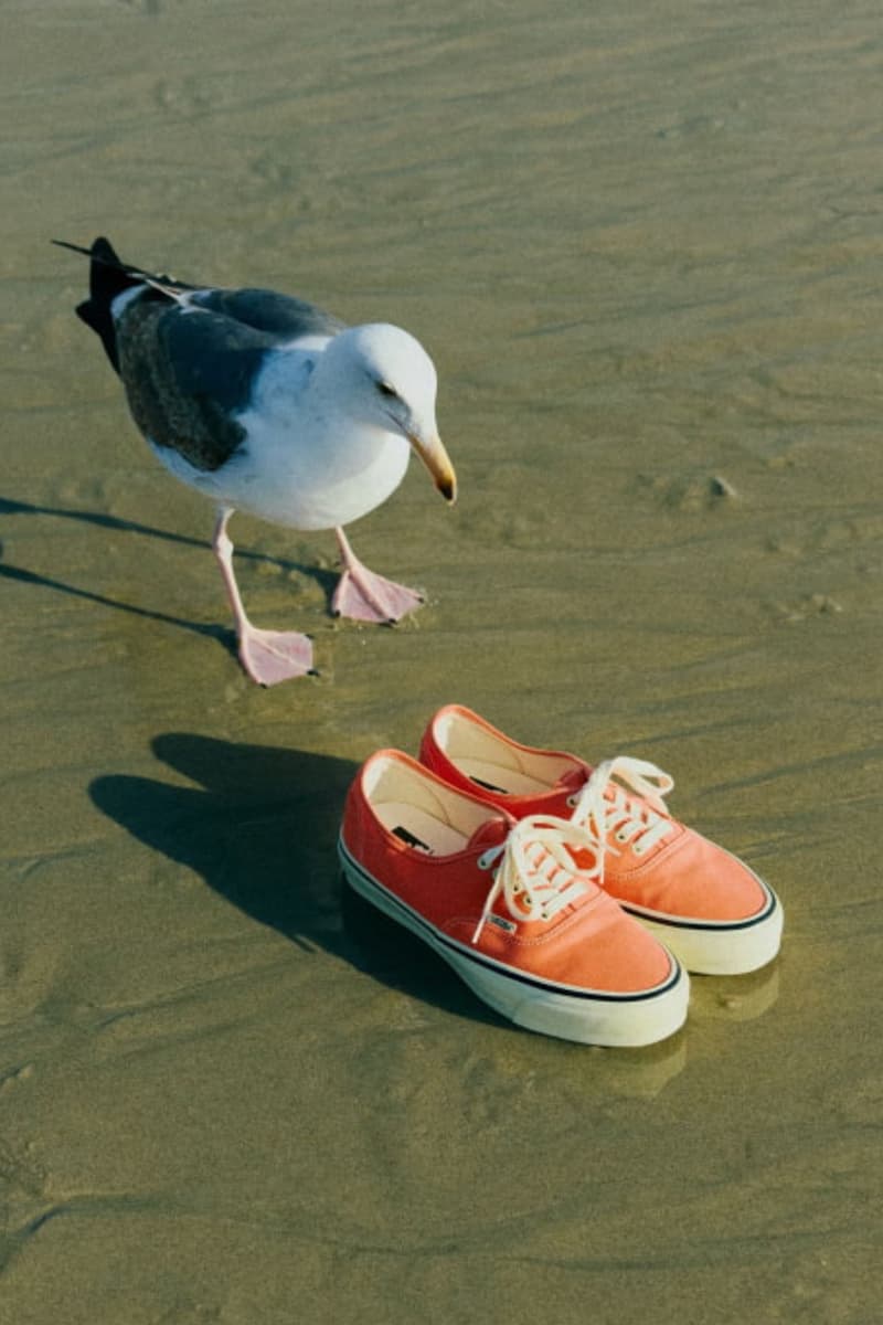 BEAMS BOY Vans Authentic Vintage Orange 13310897106 Release Info