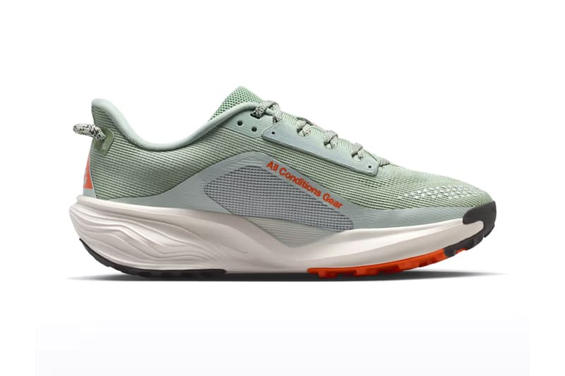 Nike ACG Pegasus Trail HV8121-310 Release Info