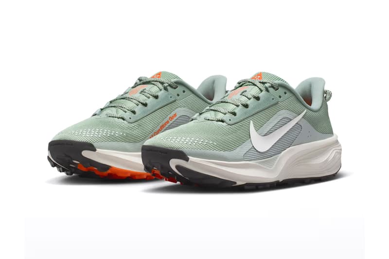 Nike ACG Pegasus Trail HV8121-310 Release Info