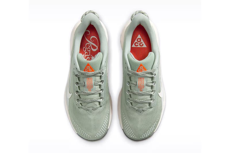 Nike ACG Pegasus Trail HV8121-310 Release Info