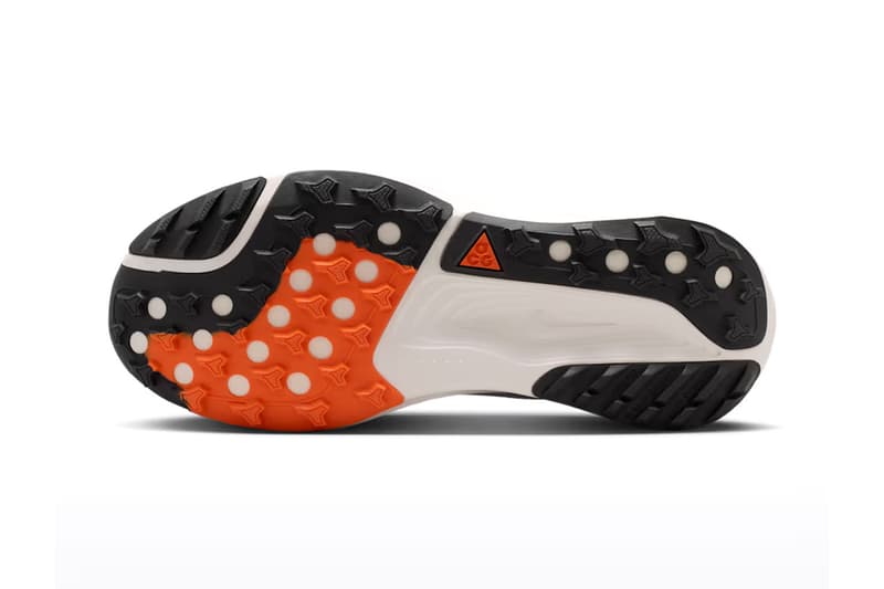 Nike ACG Pegasus Trail HV8121-310 Release Info