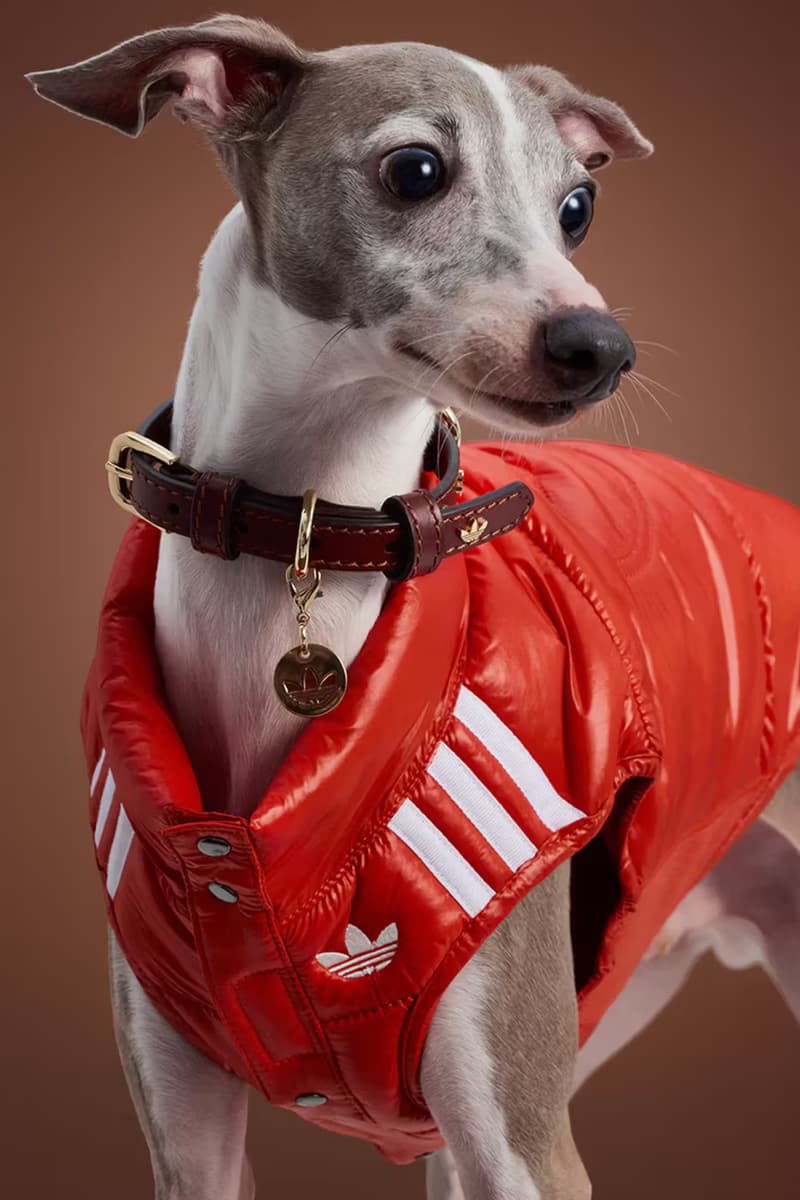 adidas Pet Collection Fall 2025 Japan Release Info