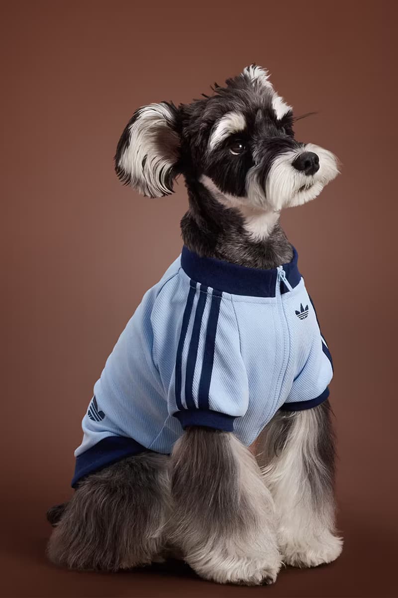 adidas Pet Collection Fall 2025 Japan Release Info