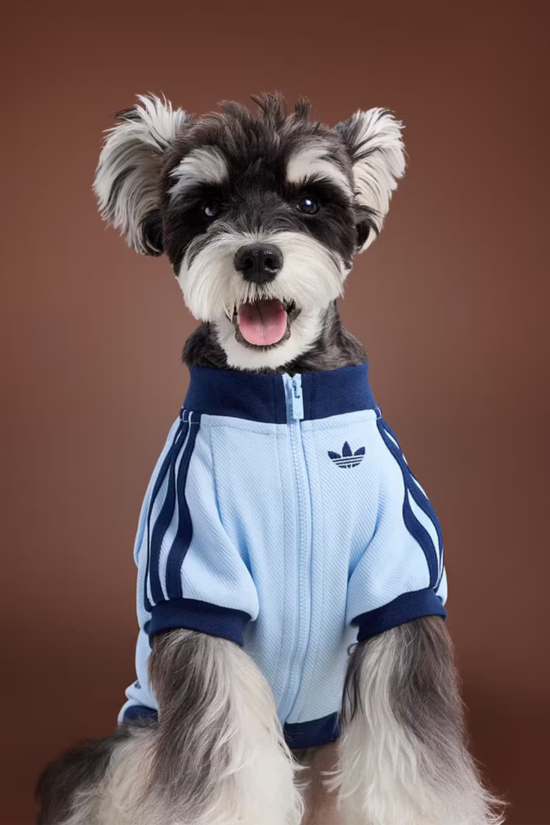 adidas Pet Collection Fall 2025 Japan Release Info