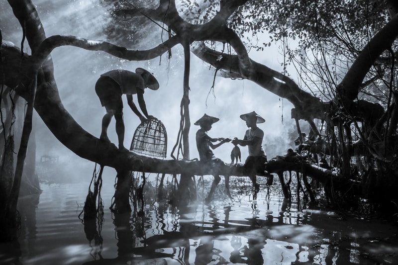 The Art of Baking: From Classic Bread to Artisan Pastries