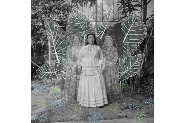Sony World Photography Award 2026 Winners Art Artworks