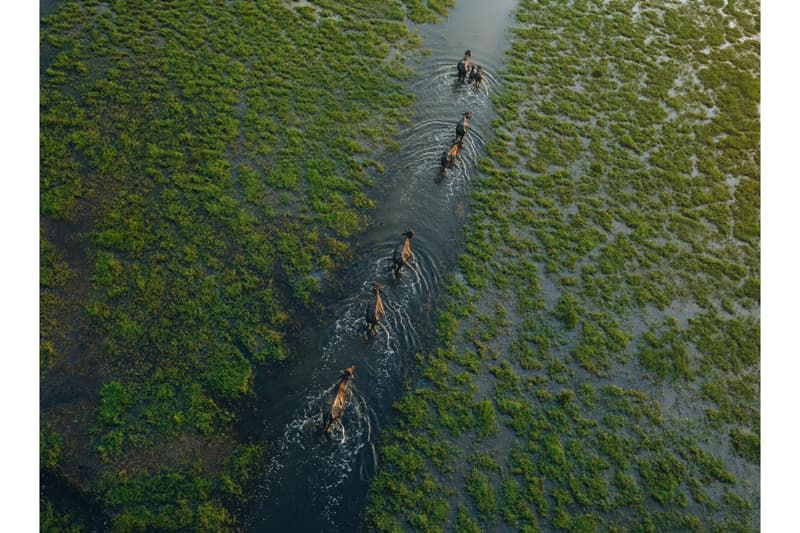 Sony World Photography Award 2026 Winners Art Artworks