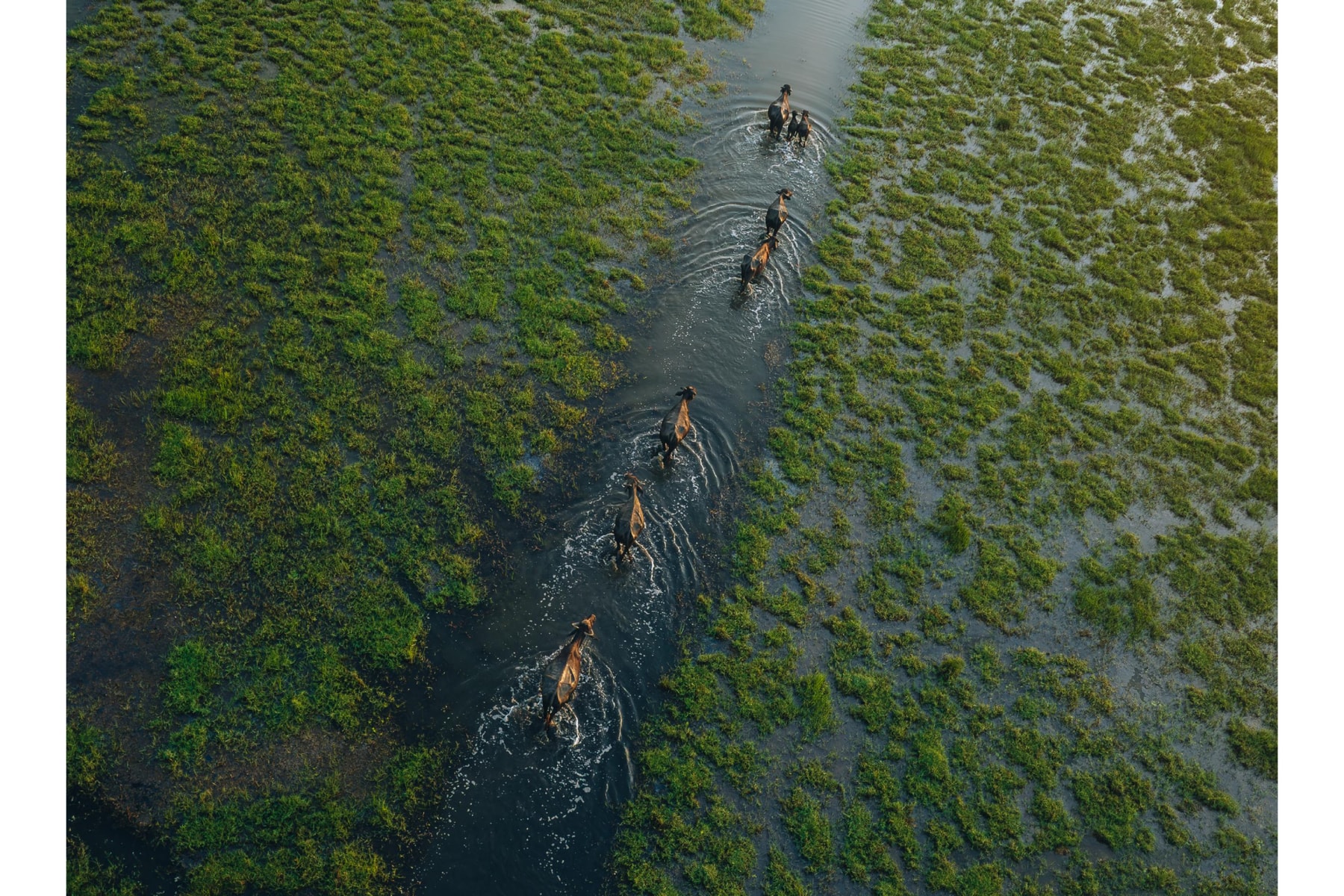 Sony World Photography Award 2026 Winners Art Artworks