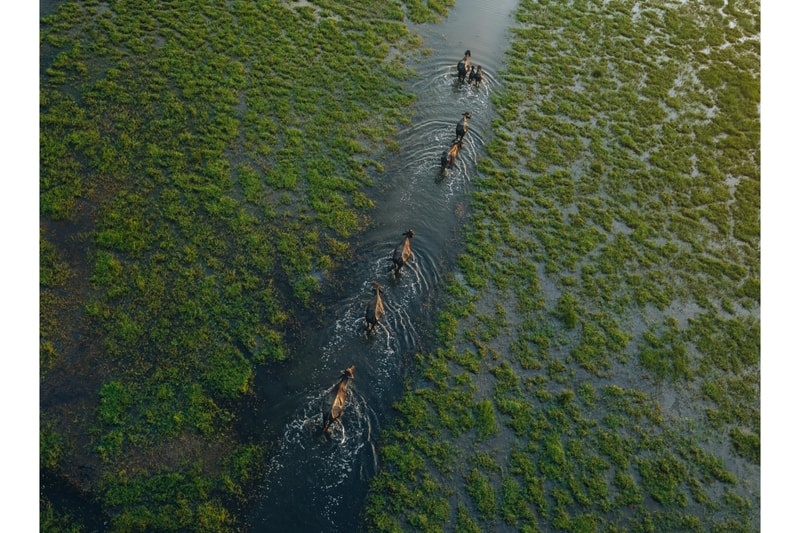 Sony World Photography Award 2026 Winners Art Artworks