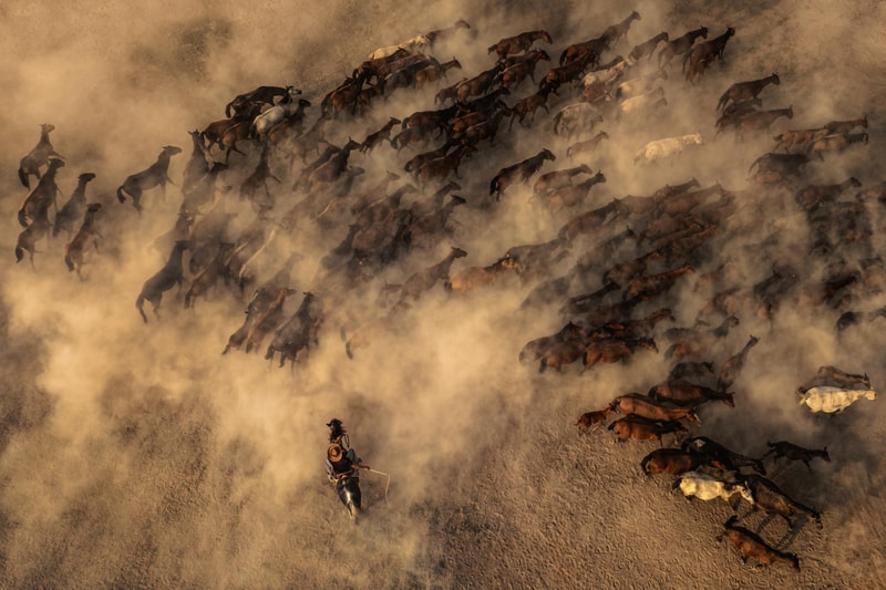 Sony World Photography Award 2026 Winners Art Artworks