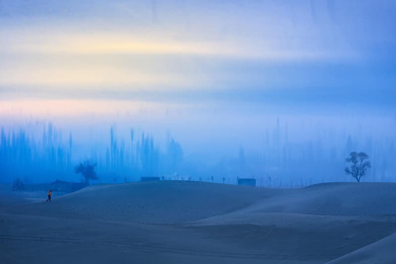 Sony World Photography Award 2026 Winners Art Artworks