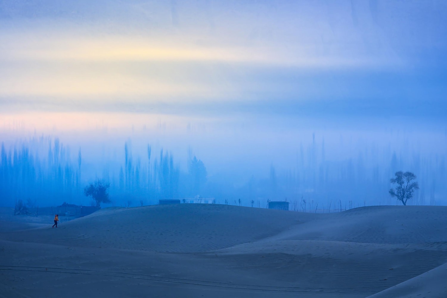 Sony World Photography Award 2026 Winners Art Artworks