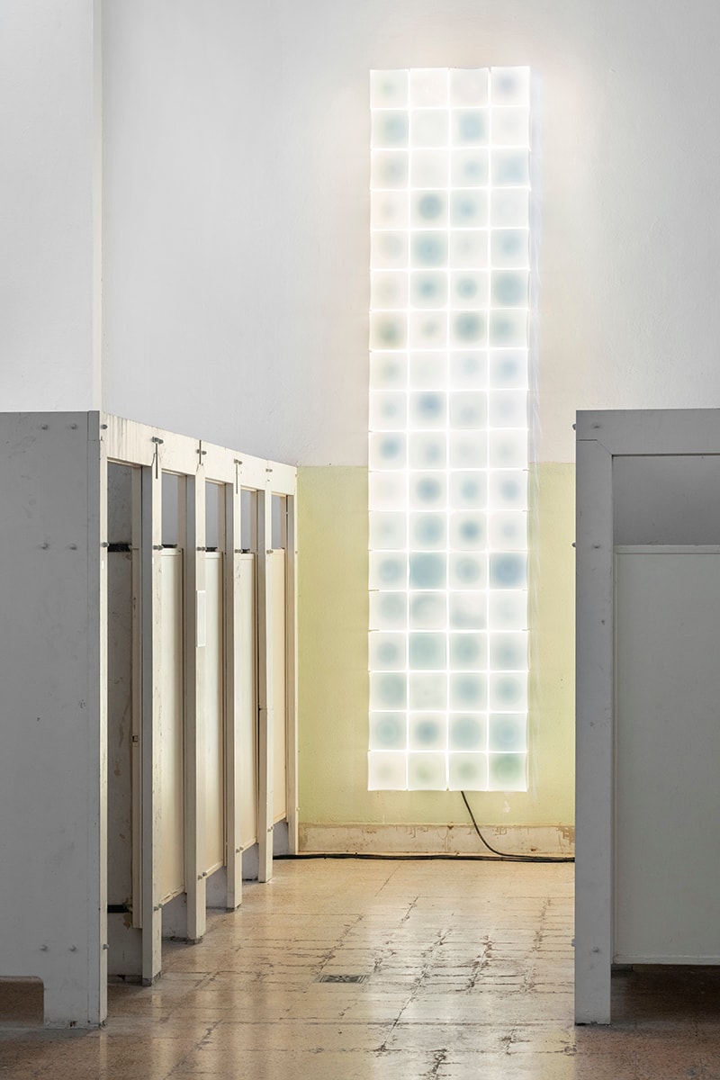 6:AM is the Milanese Studio Breathing Life into Murano Glass