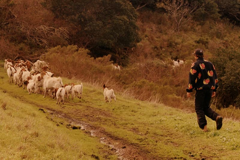 Sky High Farm Goods The North Face Goodness Grows collaboration Collection Release Info