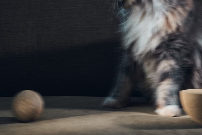 Lemaire Explores the Intersection of Craft and Scent With "Objets Senteur" Collection