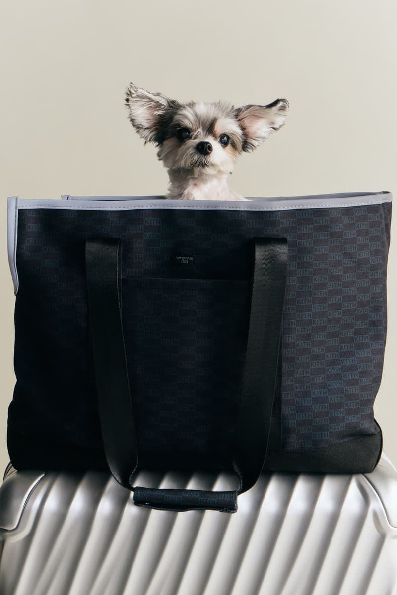 KITH wagwear First Pet Collection Release Info