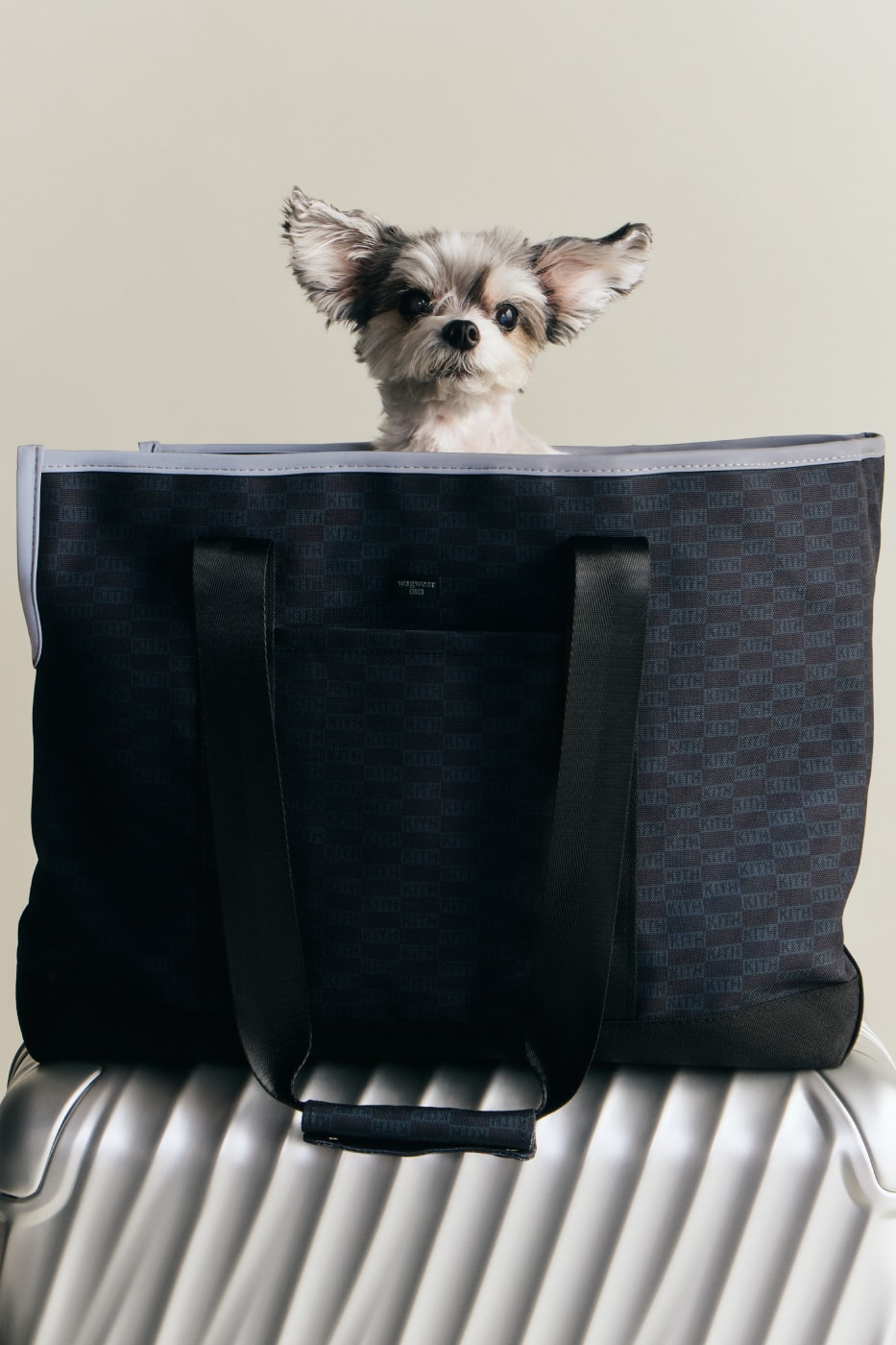 KITH wagwear First Pet Collection Release Info