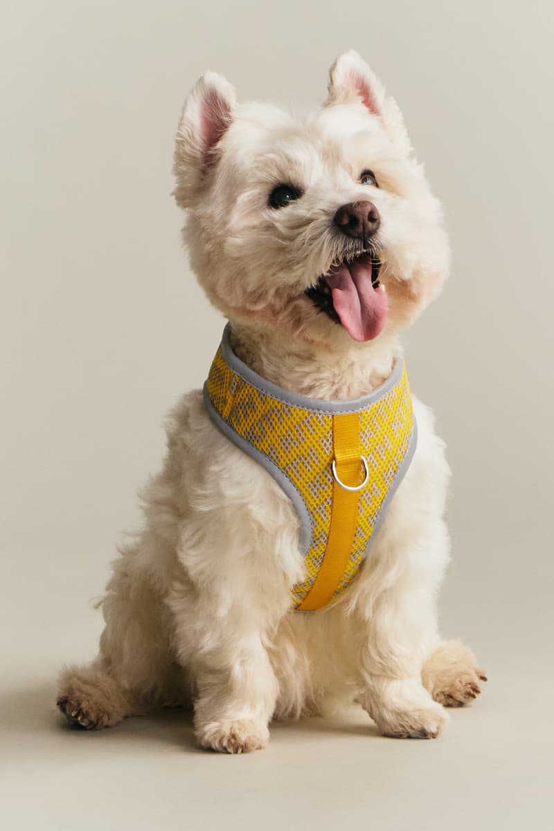 KITH wagwear First Pet Collection Release Info
