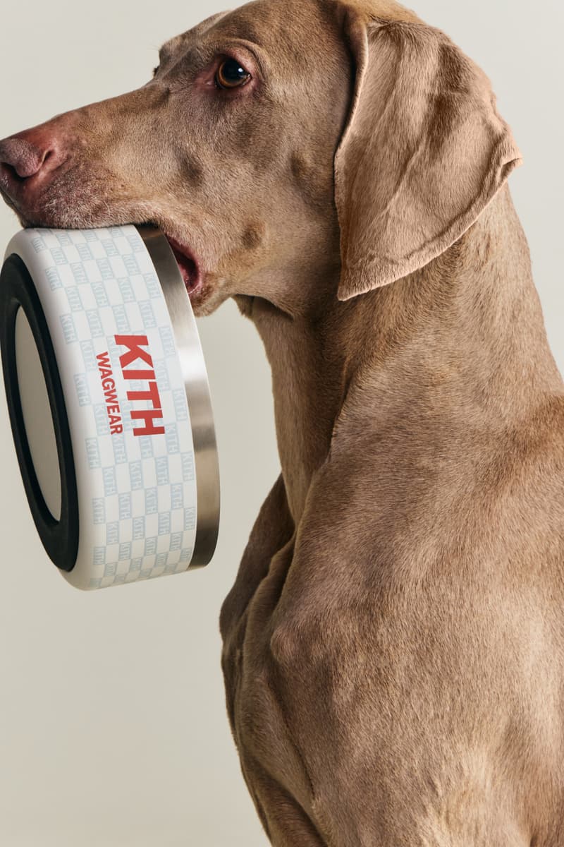KITH wagwear First Pet Collection Release Info