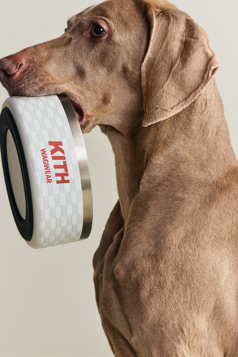 KITH wagwear First Pet Collection Release Info