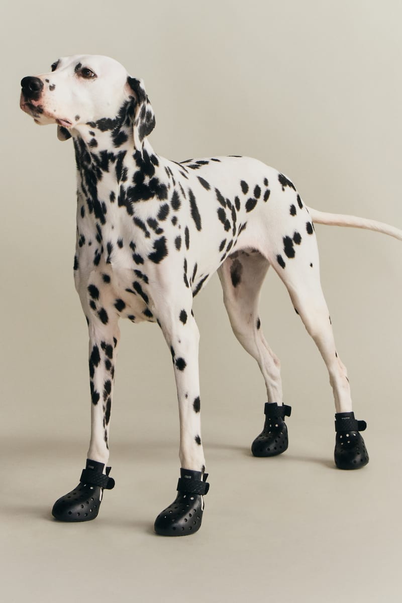 8 Drops You Don't Want to Miss This Week edison chen CLOT adidas Mundial collection chinese new year jacket kith wagwear fifa world cup pet barbour new era mountain hardware beams house of errors thisisneverthat starbucks chinese 