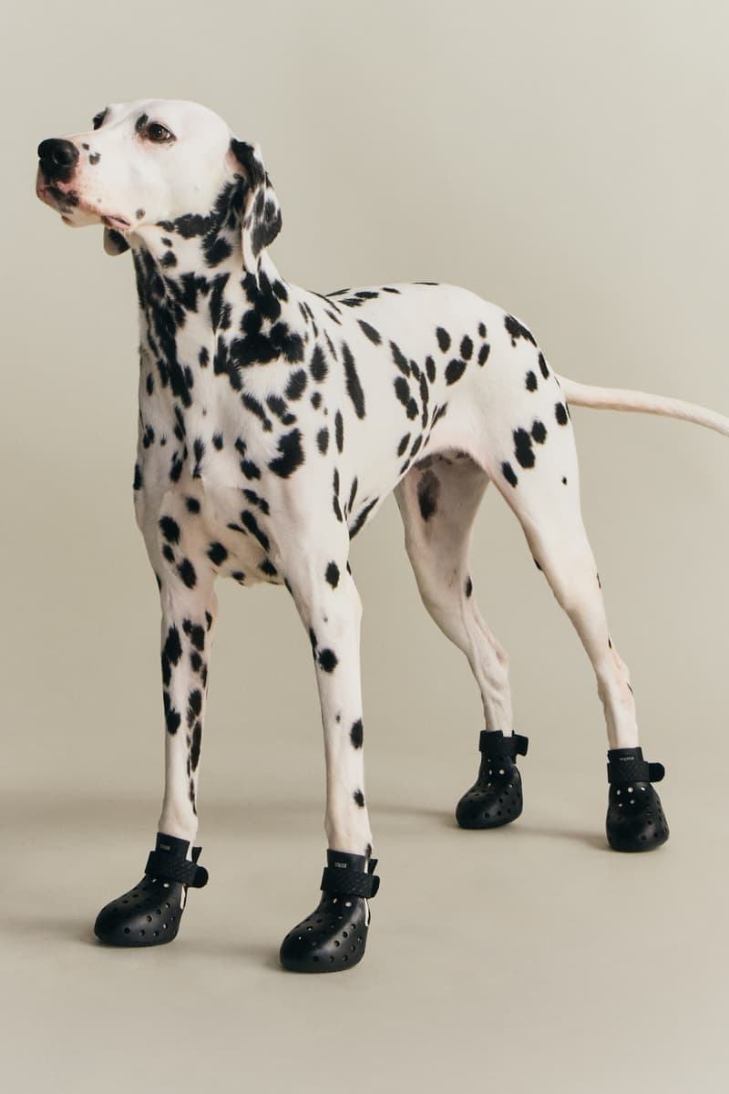 KITH wagwear First Pet Collection Release Info