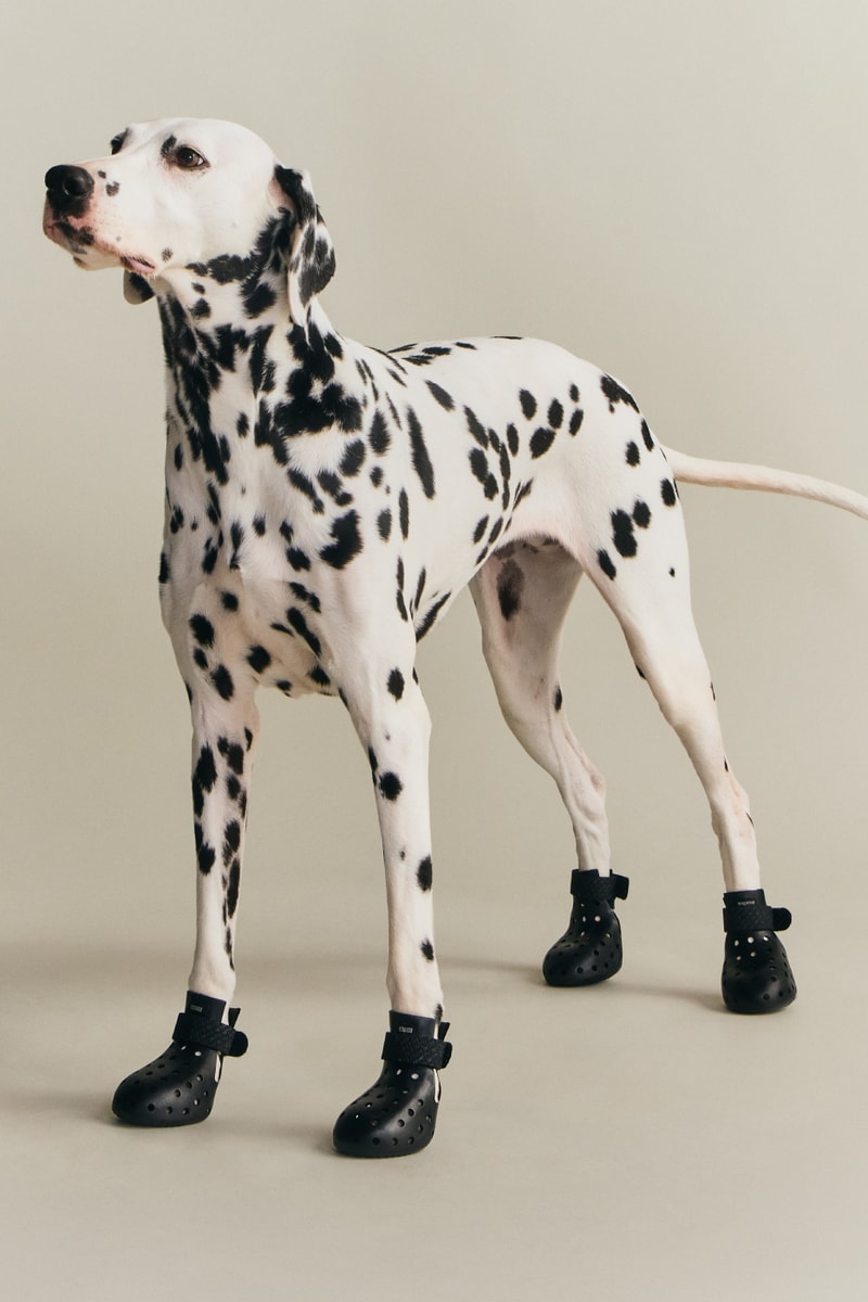 KITH wagwear First Pet Collection Release Info
