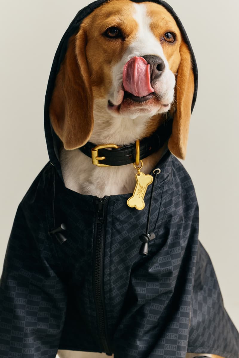 KITH wagwear First Pet Collection Release Info