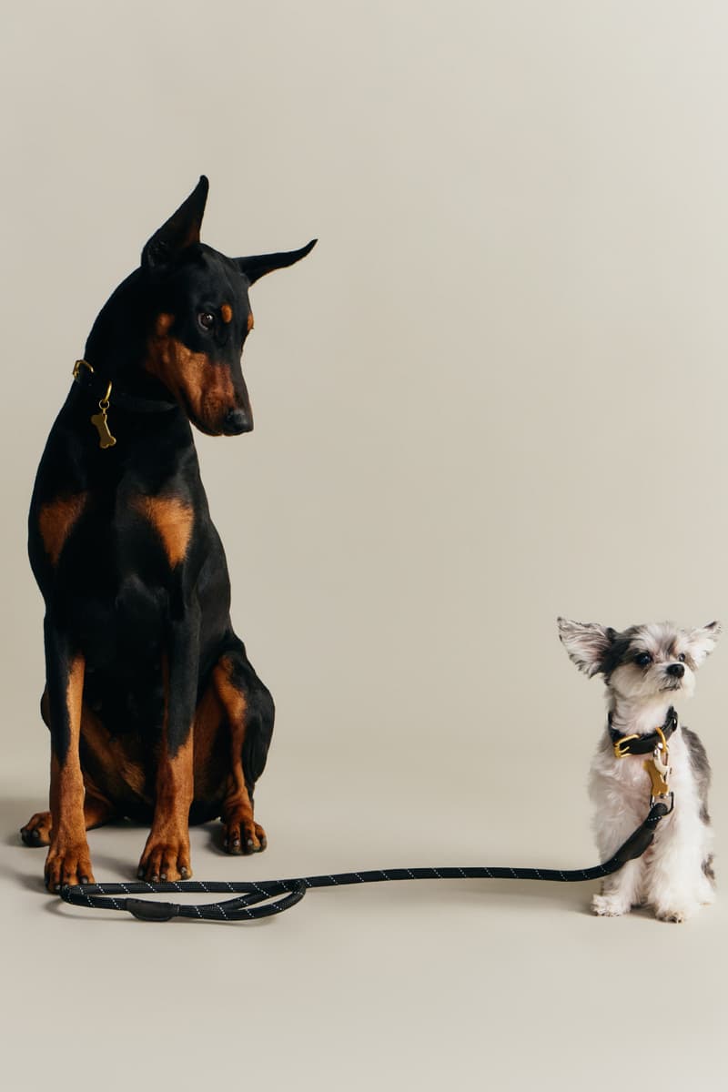 KITH wagwear First Pet Collection Release Info