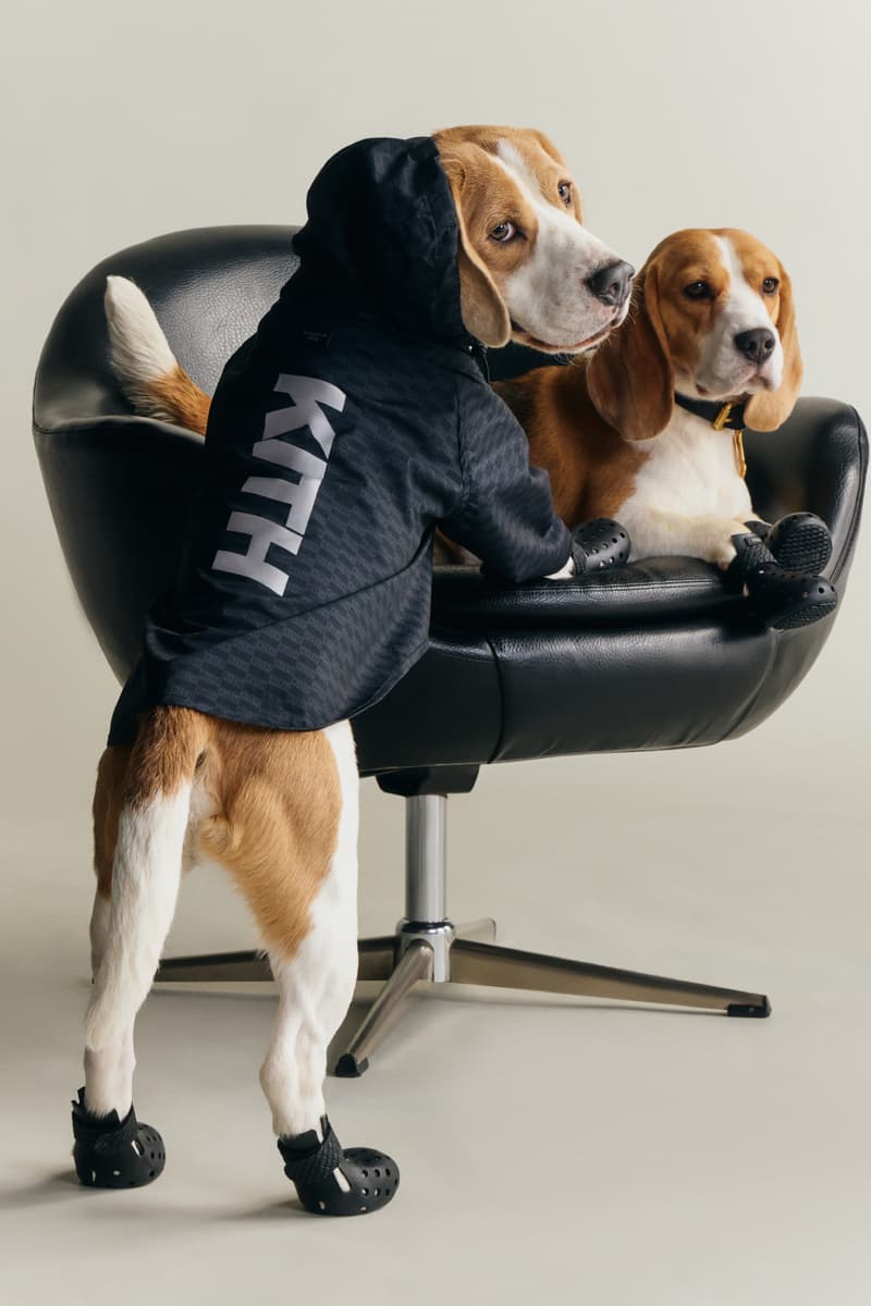 KITH wagwear First Pet Collection Release Info