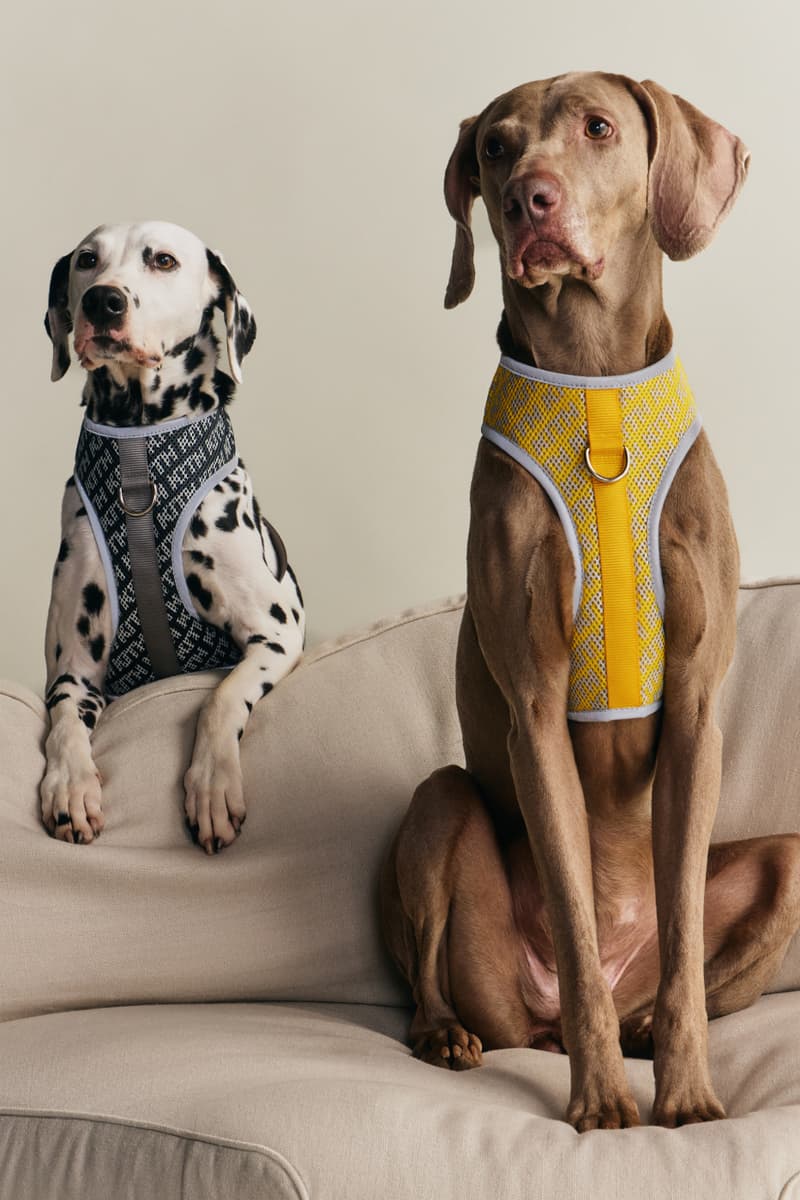 KITH wagwear First Pet Collection Release Info
