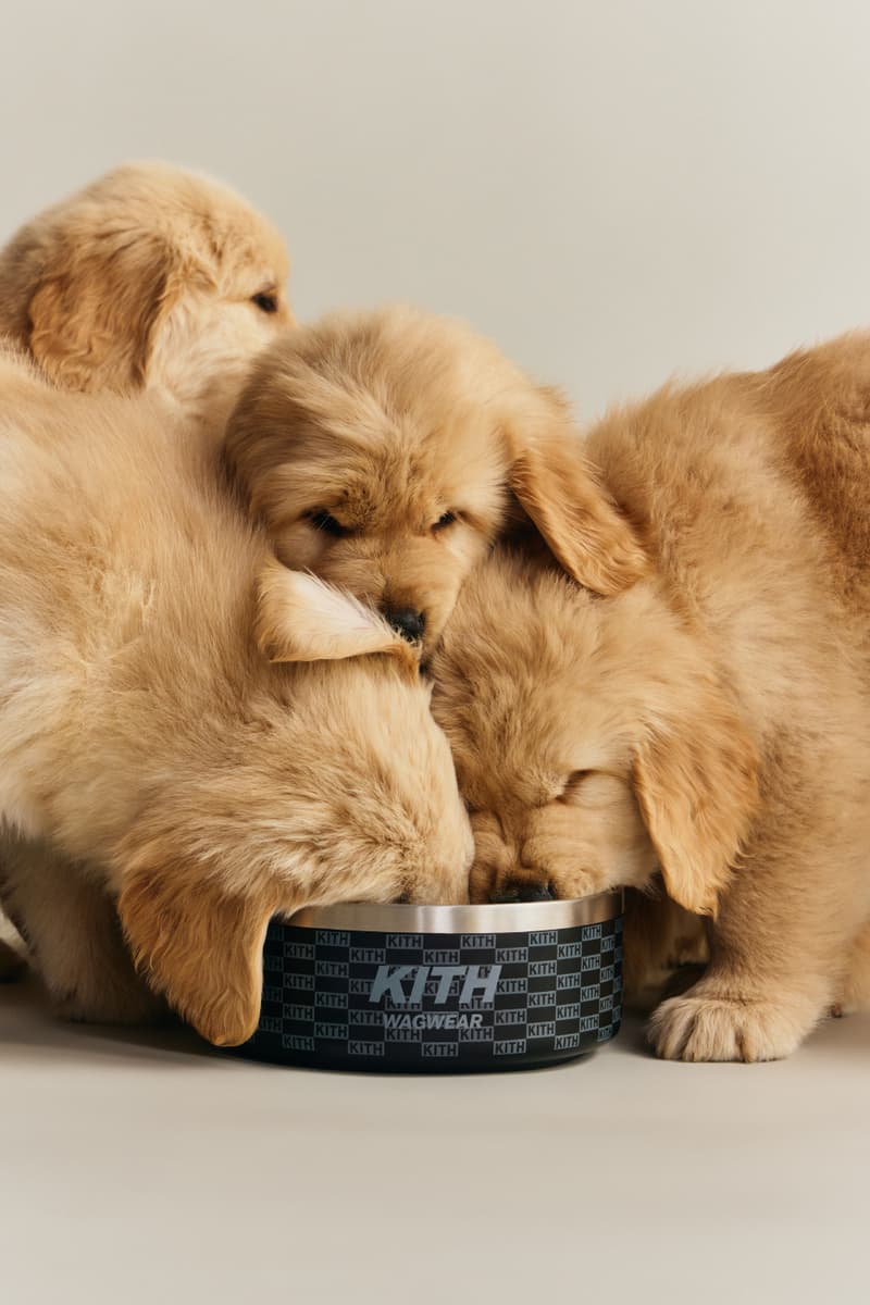 KITH wagwear First Pet Collection Release Info
