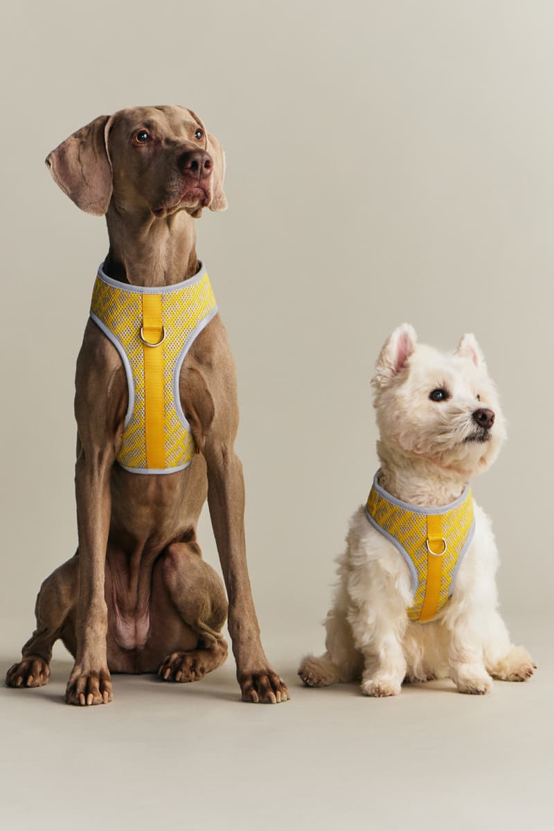 KITH wagwear First Pet Collection Release Info