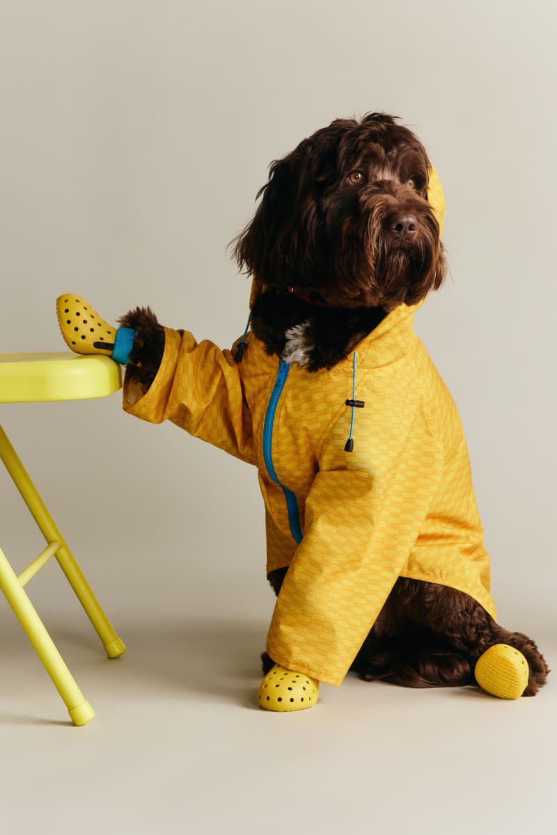 KITH wagwear First Pet Collection Release Info