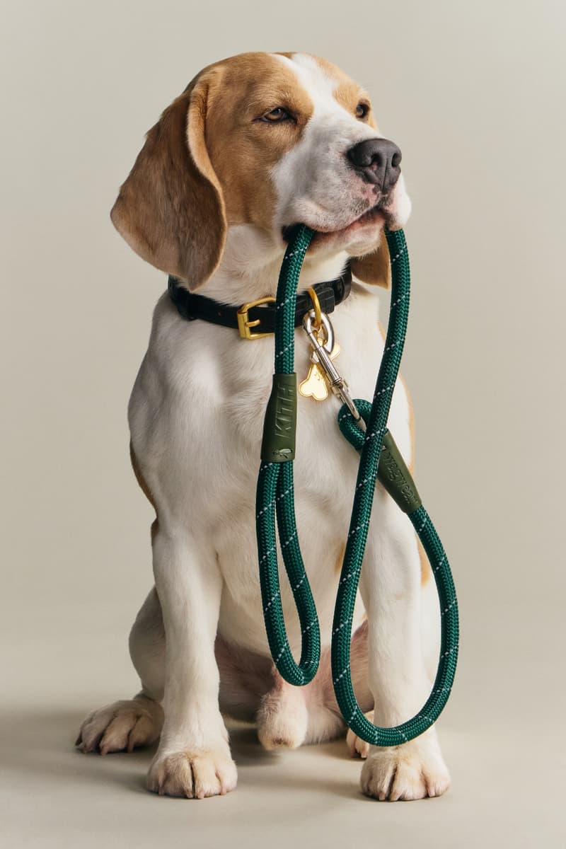 KITH wagwear First Pet Collection Release Info