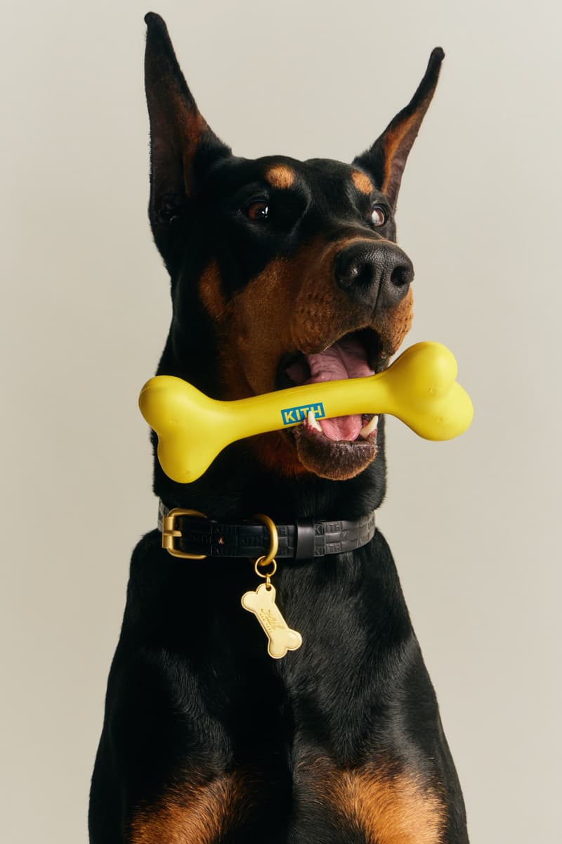 KITH wagwear First Pet Collection Release Info