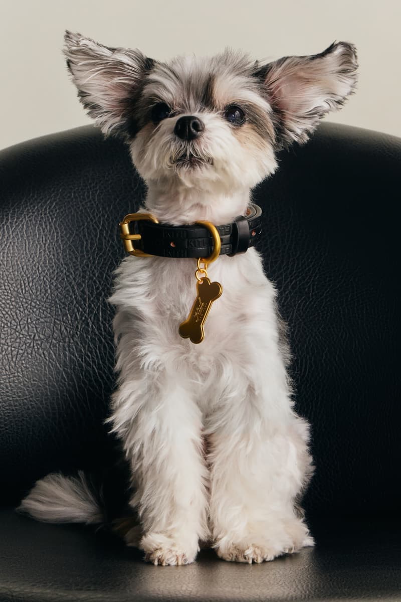 KITH wagwear First Pet Collection Release Info